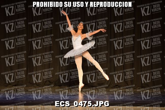 GRUPO C CLASICO 353