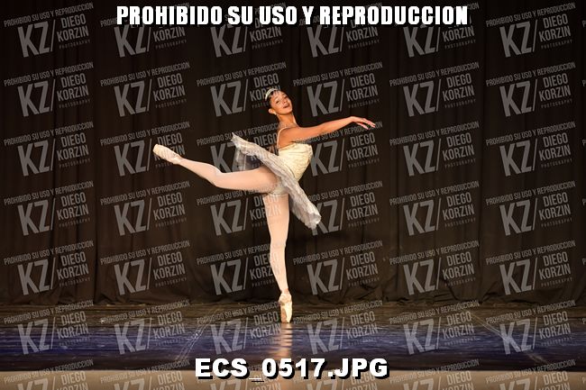 GRUPO C CLASICO 355