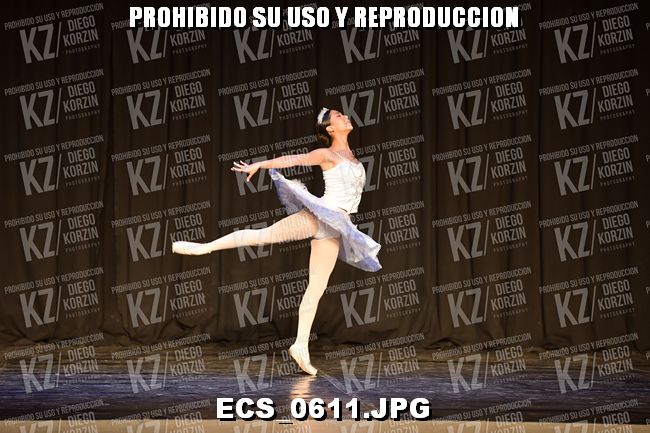 GRUPO C CLASICO 356