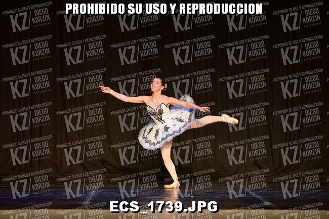 GRUPO B CLASICO 216