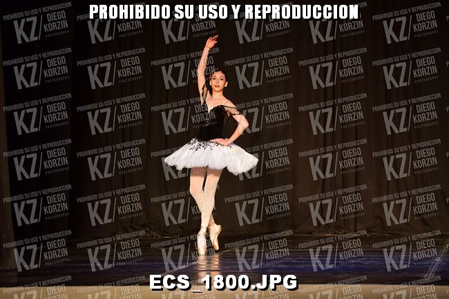 GRUPO B CLASICO 217