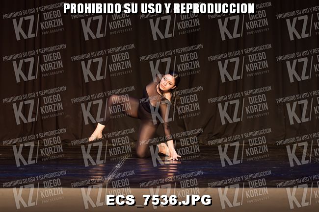 GRUPO C CONTE 321