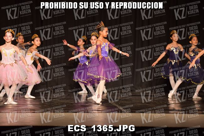 COMPETENCIA D2 COREO 61