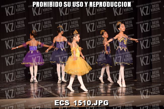 COMPETENCIA D2 COREO 61