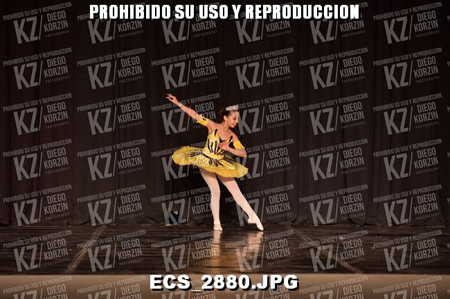 COMPETENCIA D2 COREO 79