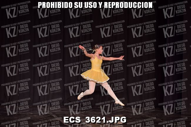 COMPETENCIA D2 COREO 88