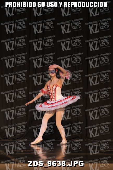 COMPETENCIA D3 COREO 101