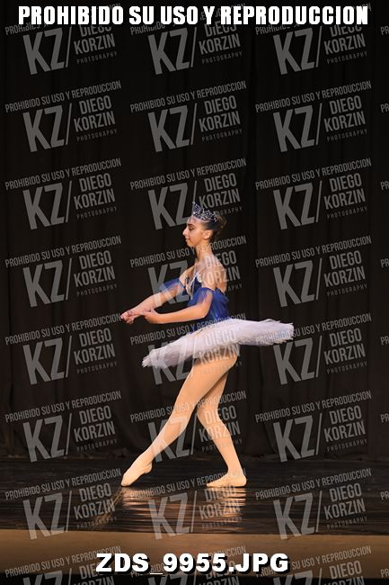 COMPETENCIA D3 COREO 105 BIS