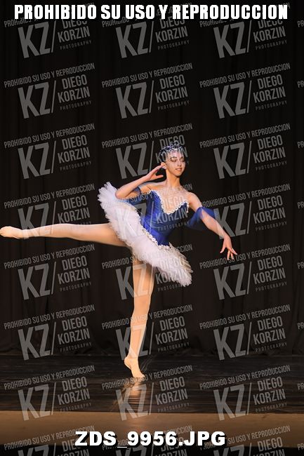 COMPETENCIA D3 COREO 105 BIS