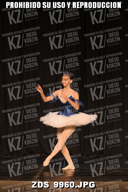 COMPETENCIA D3 COREO 105 BIS