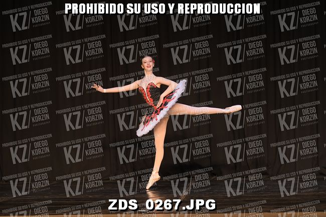 COMPETENCIA D3 COREO 110