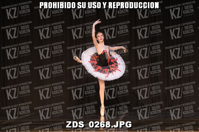 COMPETENCIA D3 COREO 110