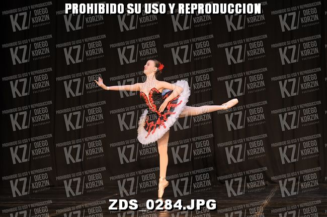 COMPETENCIA D3 COREO 110