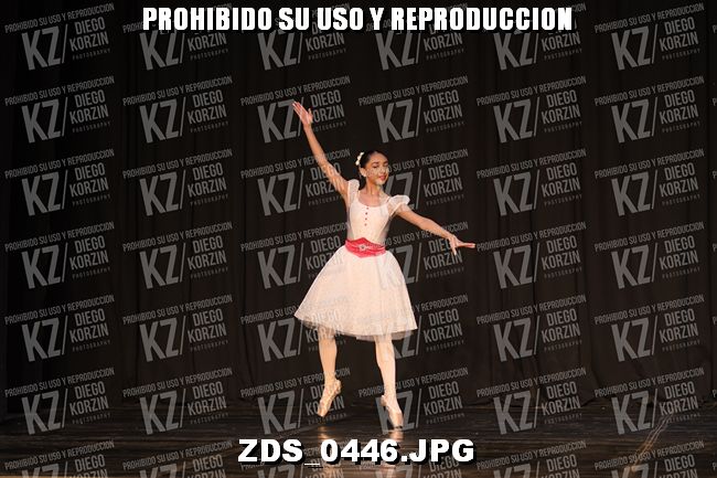 COMPETENCIA D3 COREO 113