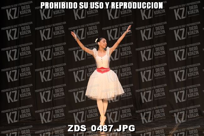 COMPETENCIA D3 COREO 113