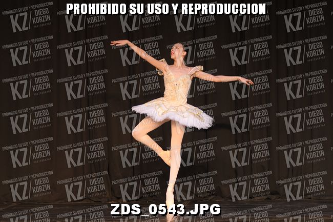COMPETENCIA D3 COREO 114