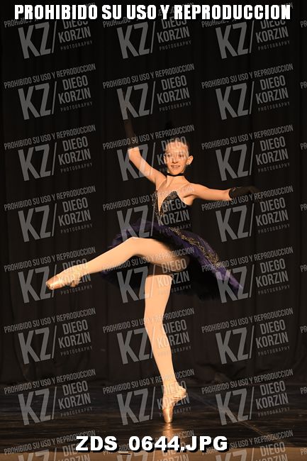 COMPETENCIA D3 COREO 115