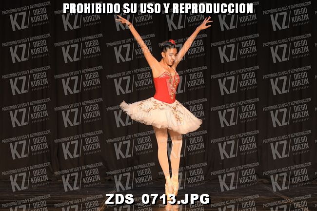 COMPETENCIA D3 COREO 116