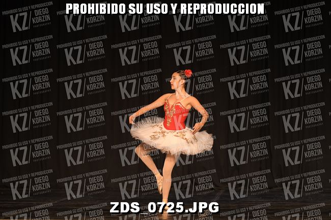 COMPETENCIA D3 COREO 116