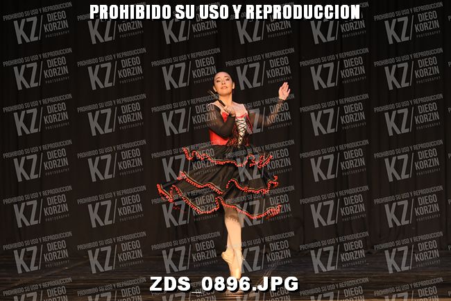 COMPETENCIA D3 COREO 119