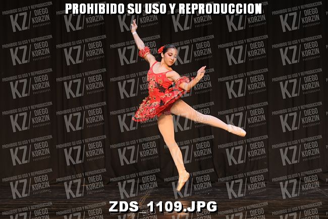 COMPETENCIA D3 COREO 123