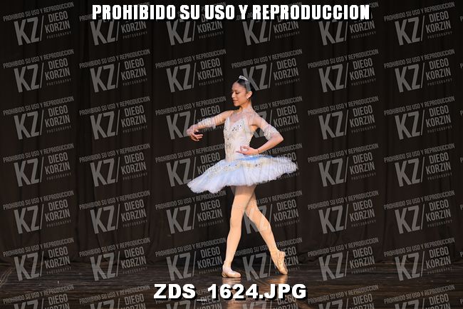COMPETENCIA D3 COREO 132