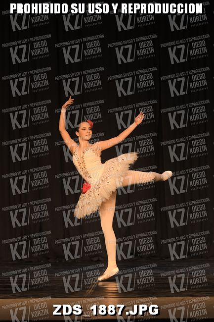 COMPETENCIA D3 COREO 136