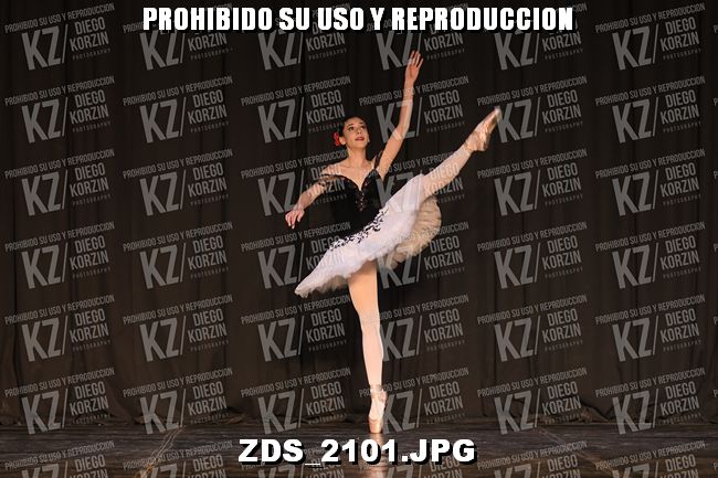 COMPETENCIA D3 COREO 139