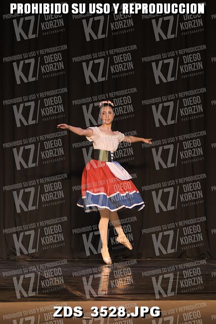 COMPETENCIA D3 COREO 161