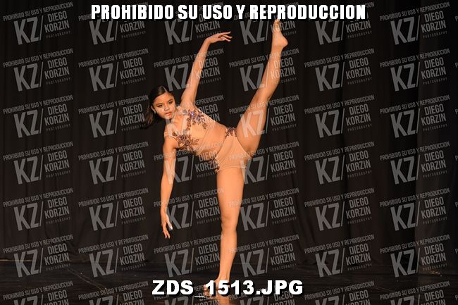 COMPETENCIA D3 COREO 164 BIS