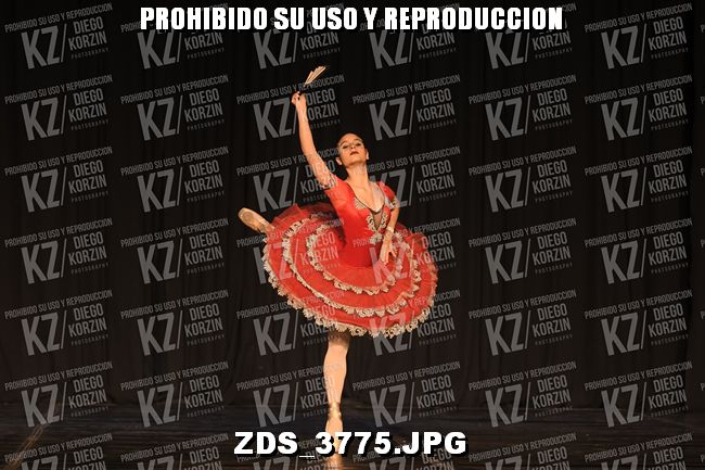 COMPETENCIA D3 COREO 167