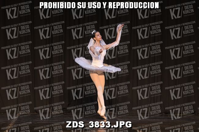 COMPETENCIA D3 COREO 168