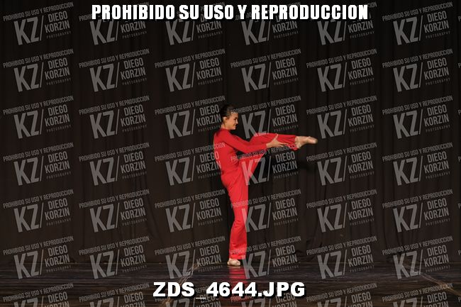 COMPETENCIA D3 COREO 175