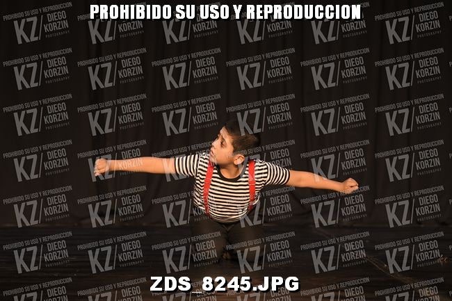 COMPETENCIA D3 COREO 217