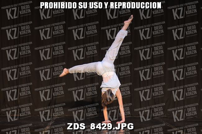 COMPETENCIA D3 COREO 219