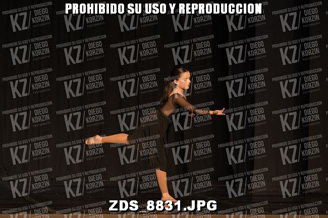 COMPETENCIA D3 COREO 228
