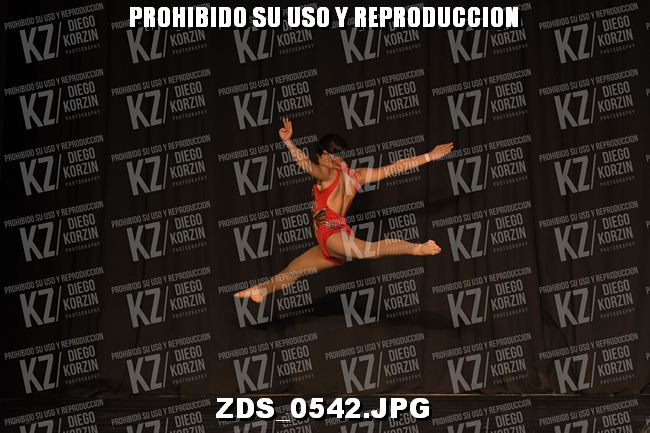 COMPETENCIA D3 COREO 251