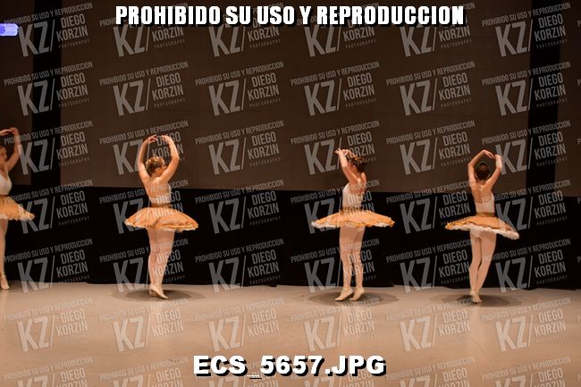 COREO 59