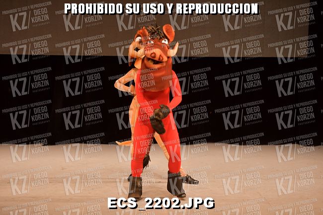 COREO 239