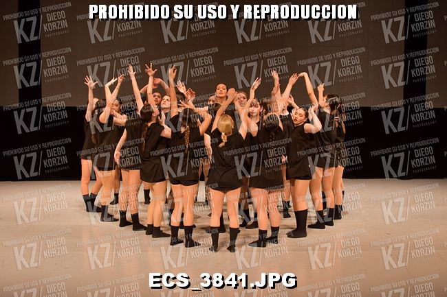 COREO 249