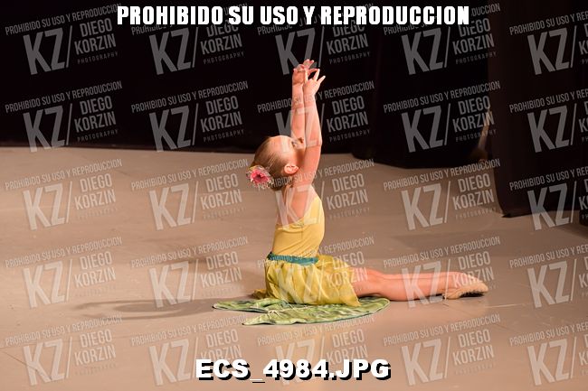 COREO 259