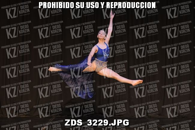 COMPETENCIA D4 COREO 282