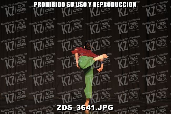 COMPETENCIA D4 COREO 288
