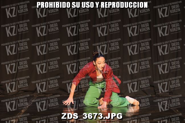 COMPETENCIA D4 COREO 288