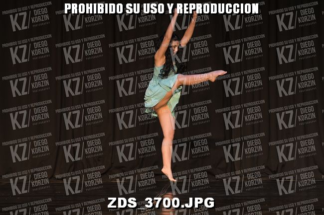 COMPETENCIA D4 COREO 290