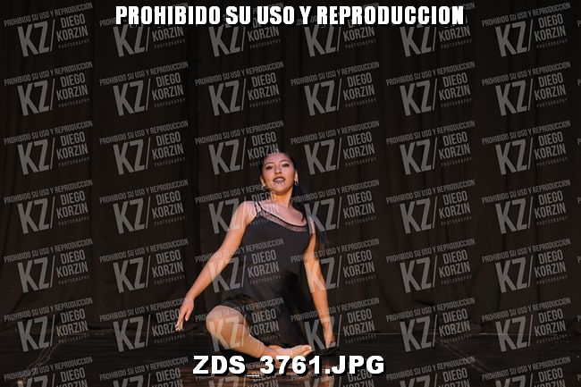 COMPETENCIA D4 COREO 291