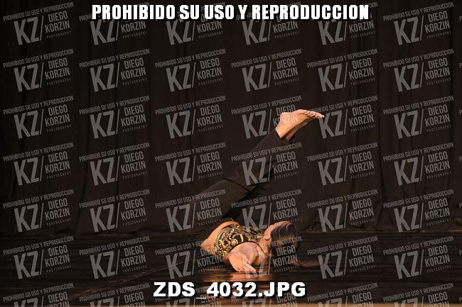 COMPETENCIA D4 COREO 294