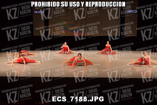 COREO 239