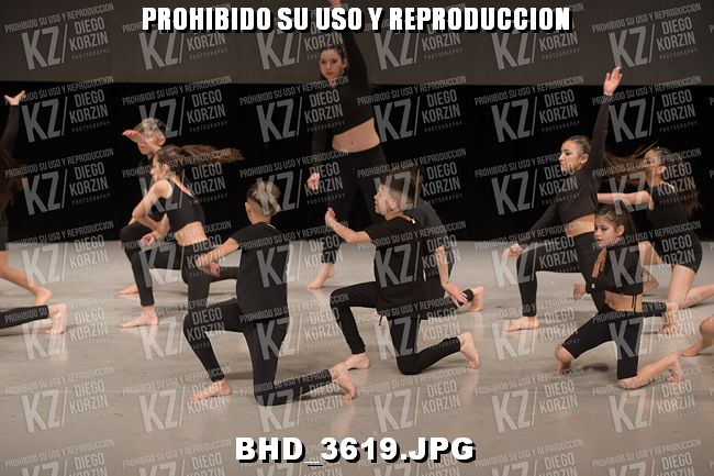 COREO 81