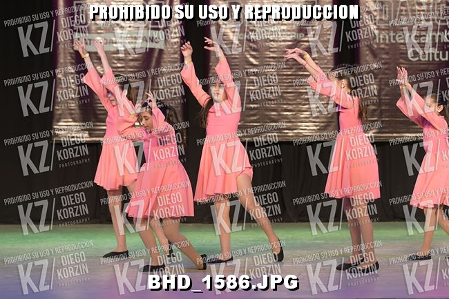 COREO 15